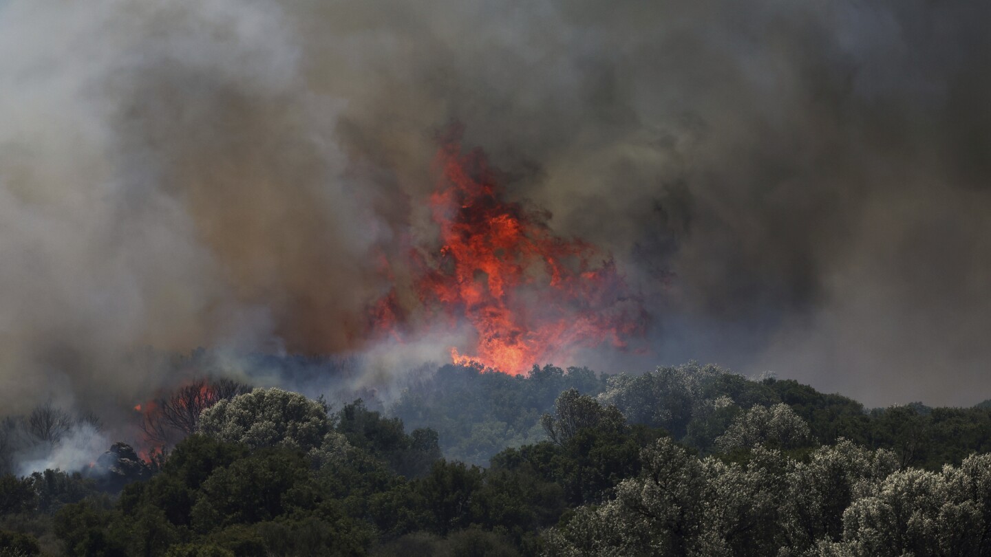 <br />
<b>Warning</b>:  Undefined variable $myimgalt in <b>/www/wwwroot/tgdailymessage.com/wp-content/themes/ennews001/single.php</b> on line <b>213</b><br />
