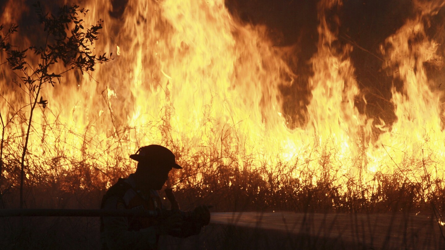 <br />
<b>Warning</b>:  Undefined variable $myimgalt in <b>/www/wwwroot/tgdailymessage.com/wp-content/themes/ennews001/single.php</b> on line <b>253</b><br />
