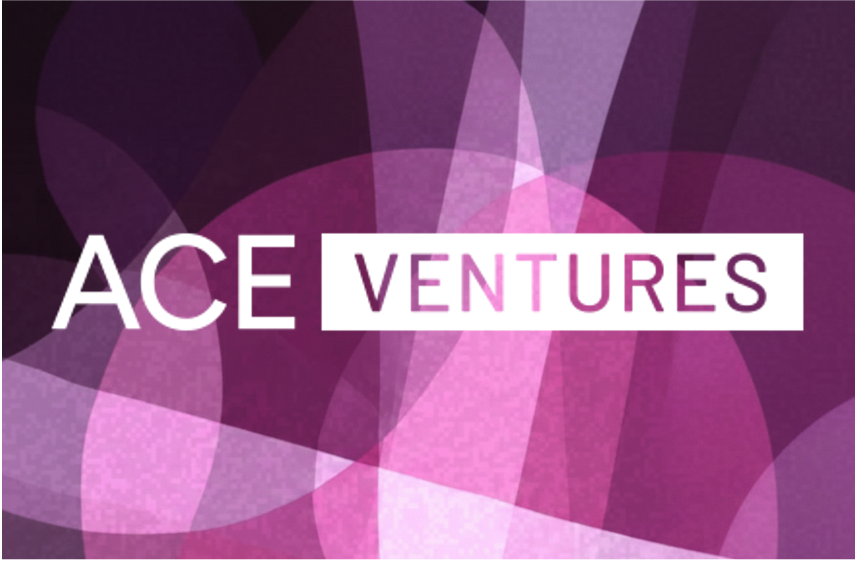 ACE Ventures: A Matter of Scale